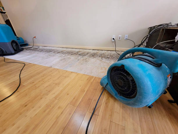 Professional Flood Damage Cleanup technician working in Kodak, TN